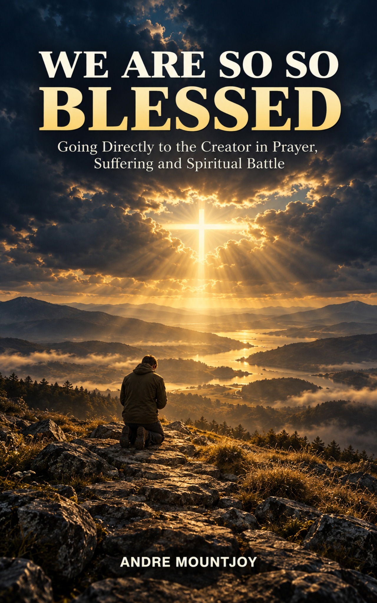Front cover of We Are So So Blessed